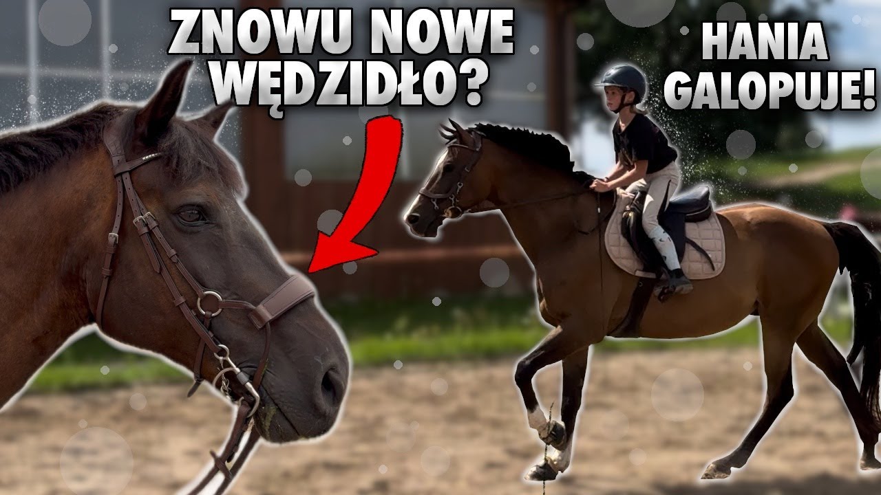 PIERWSZY SAMODZIELNY GALOP HANI NA POKIM! | VLOG #356