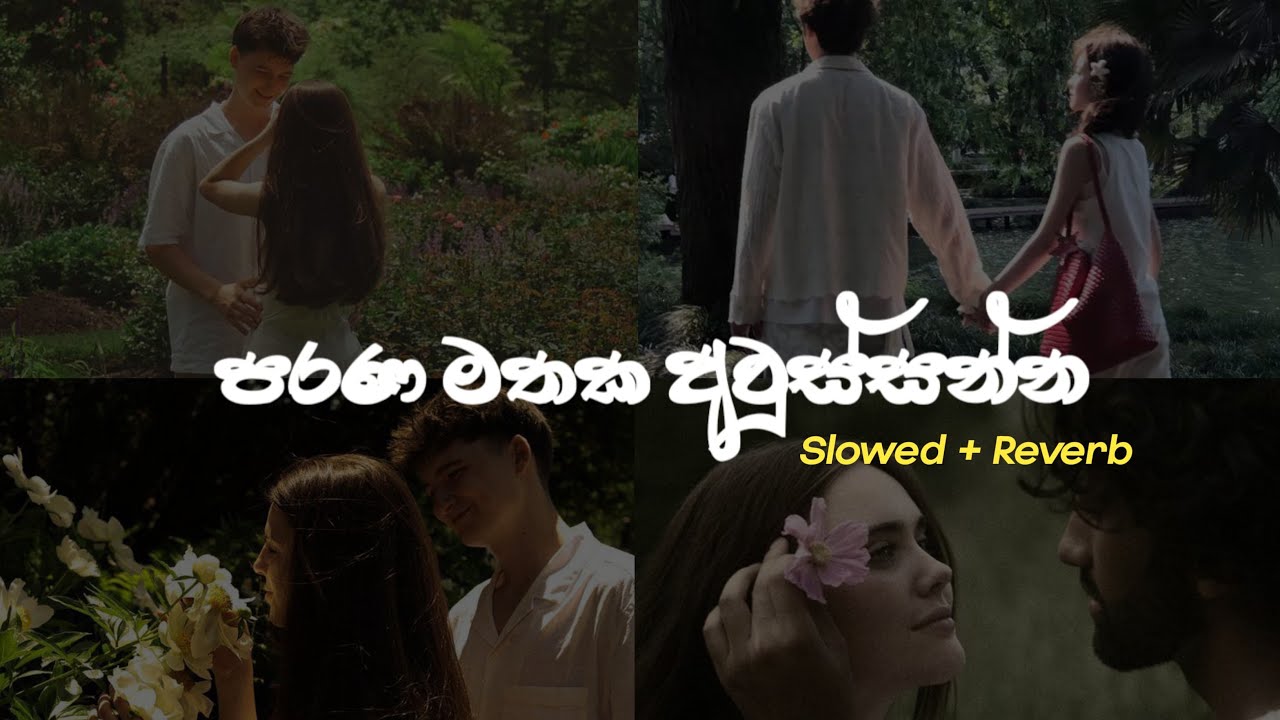 පරණ මතක අවුස්සන්න ( Manoparakata  songs collection ) Slowed + reverb || Playlist 4