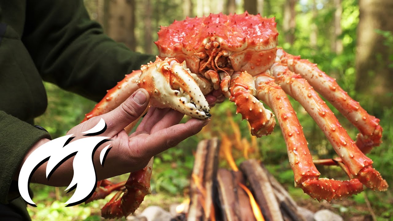 Ich grille Königskrabbe im Wald zur Perfektion. Fire Kitchen ASMR style 🔥🔥🔥