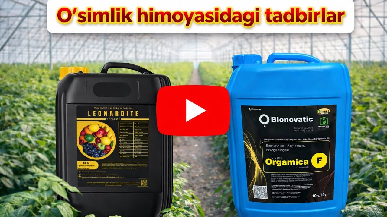 O’simlik himoyasidagi tadbirlar