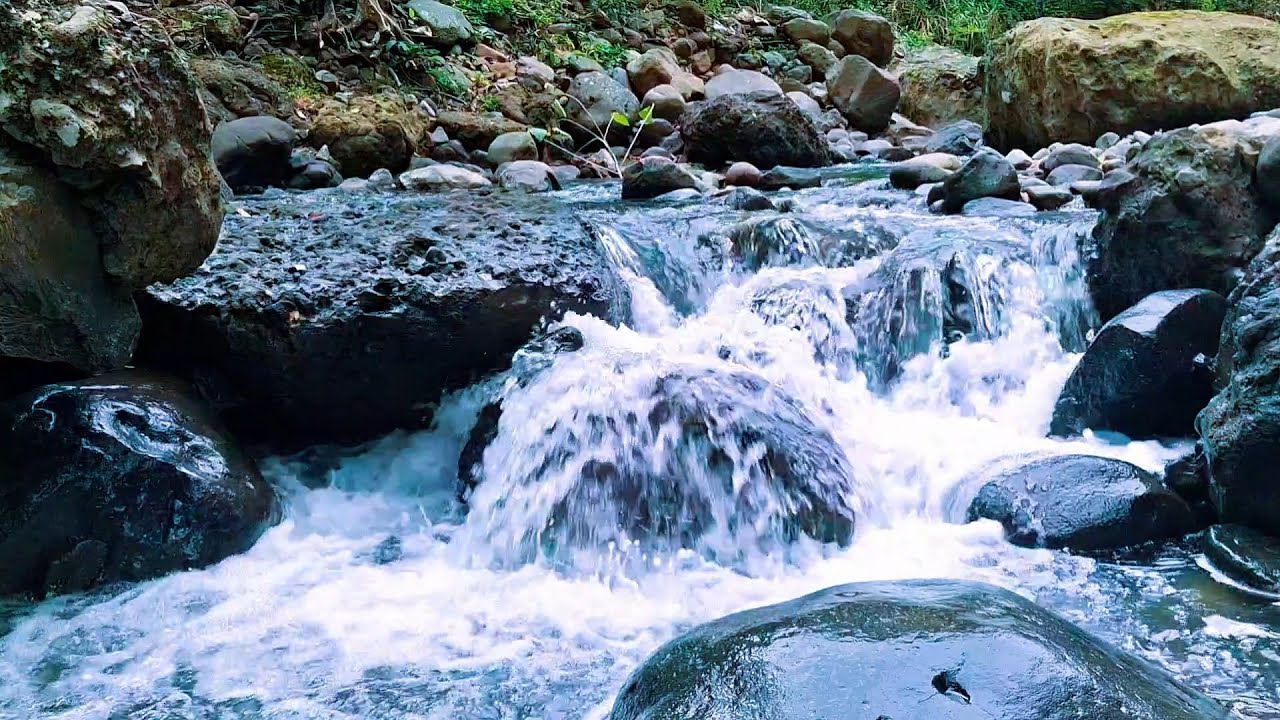 Calm River Ambience for Night Healing