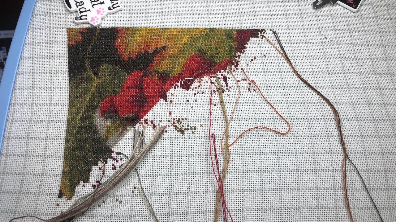 StitchyFifer is live