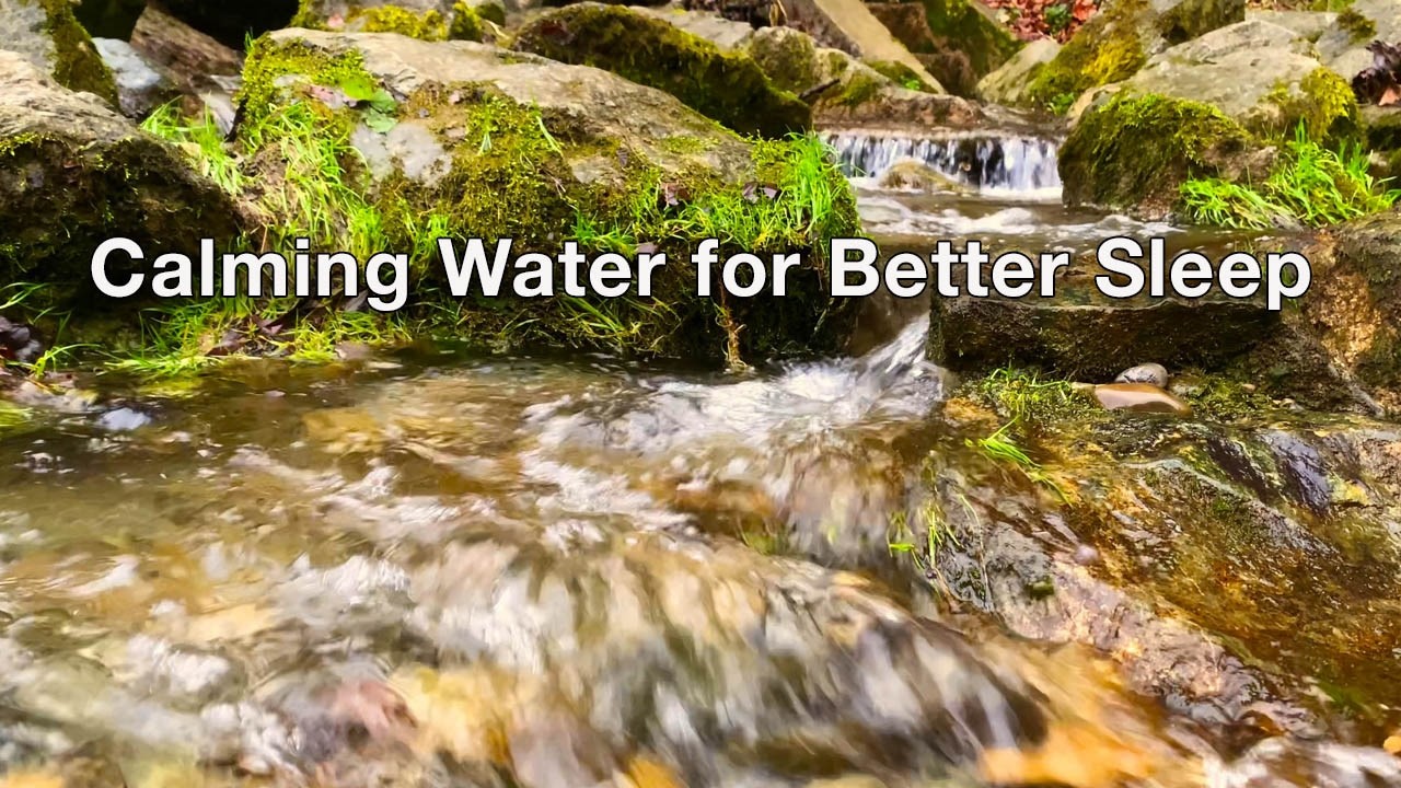 Fast Flowing Stream Sounds for Deep Sleep | Clean Water Over Mossy Rocks | ASMR Nature