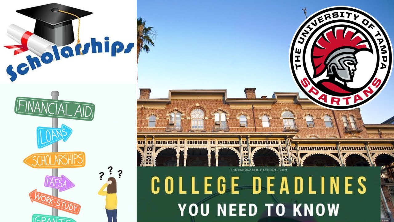 All Things: University of Tampa