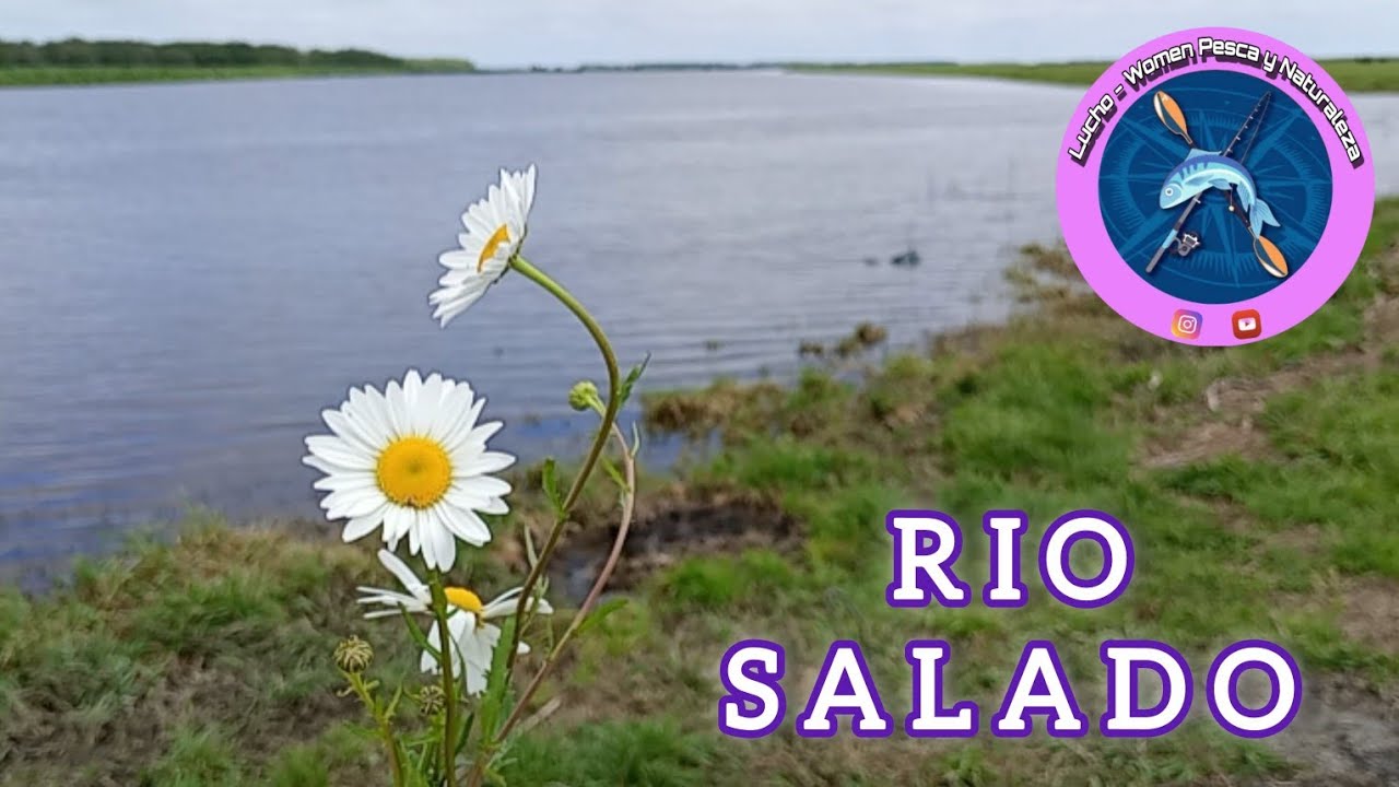 RIO SALADO - Volvimos!! 