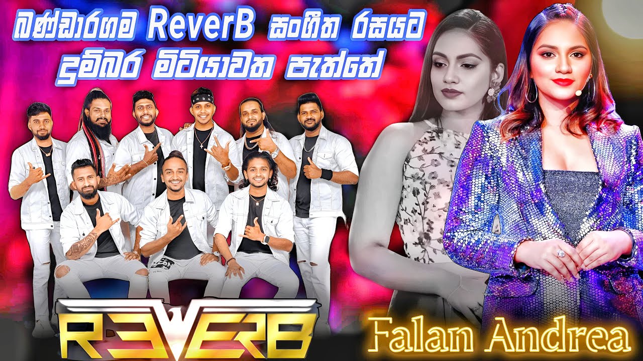 Falan Andriya | ෆැලන් ගැයූ දුම්බර මිටියාවත පැත්තේ ගීතයට රිවබ් දුන්න සුපිරිම බැකින් එක