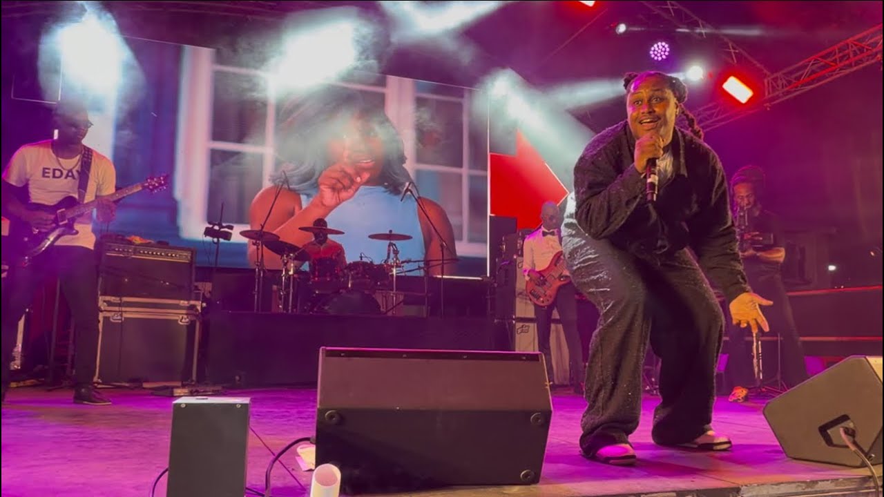 Coutain performs 2 of his biggest tunes at EDAY