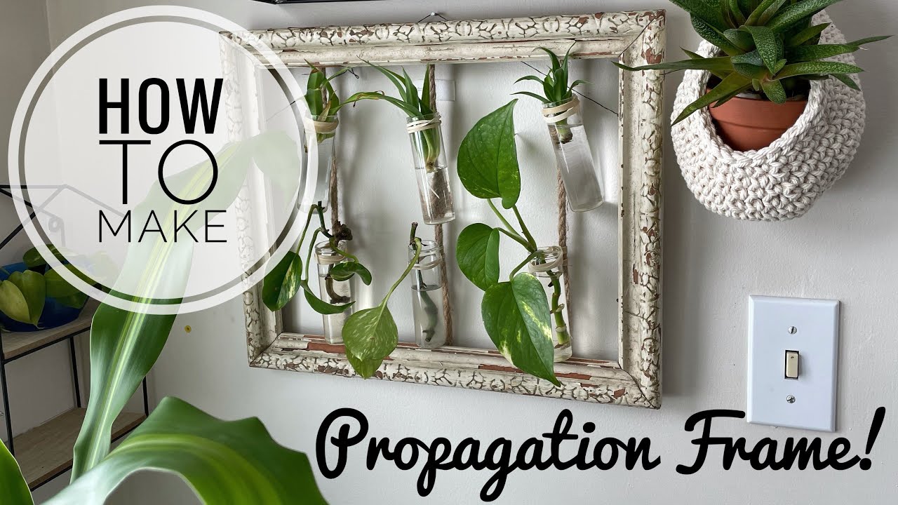How to make: Upcycled Propagation Wall Hanging Frame