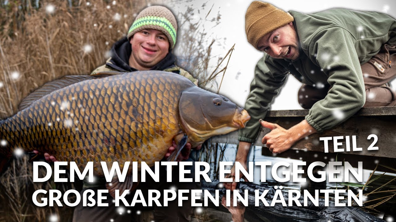 Große Karpfen in Kärnten - dem Winter entgegen 🥶 Teil 2 | P.R. Baits | Boilie | Karpfenangeln