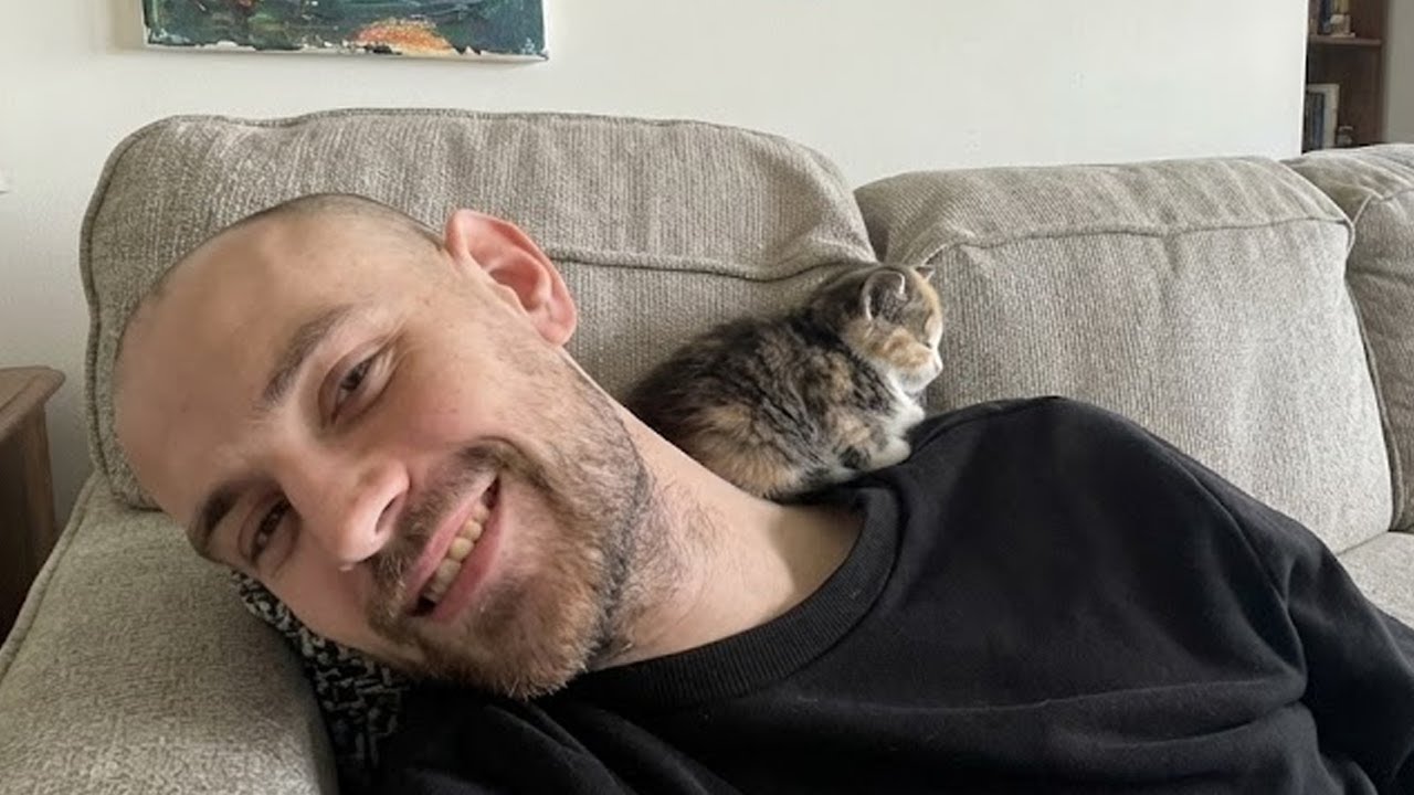 When Cats Are Being Total Little Humans 😂 Funny Cat and Humans