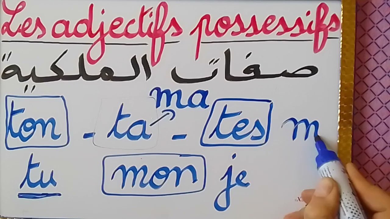 تعرف على صفات الملكية المتعلقة بالضمير (tu) / درس صفات الملكية  les adjectifs possessifs.