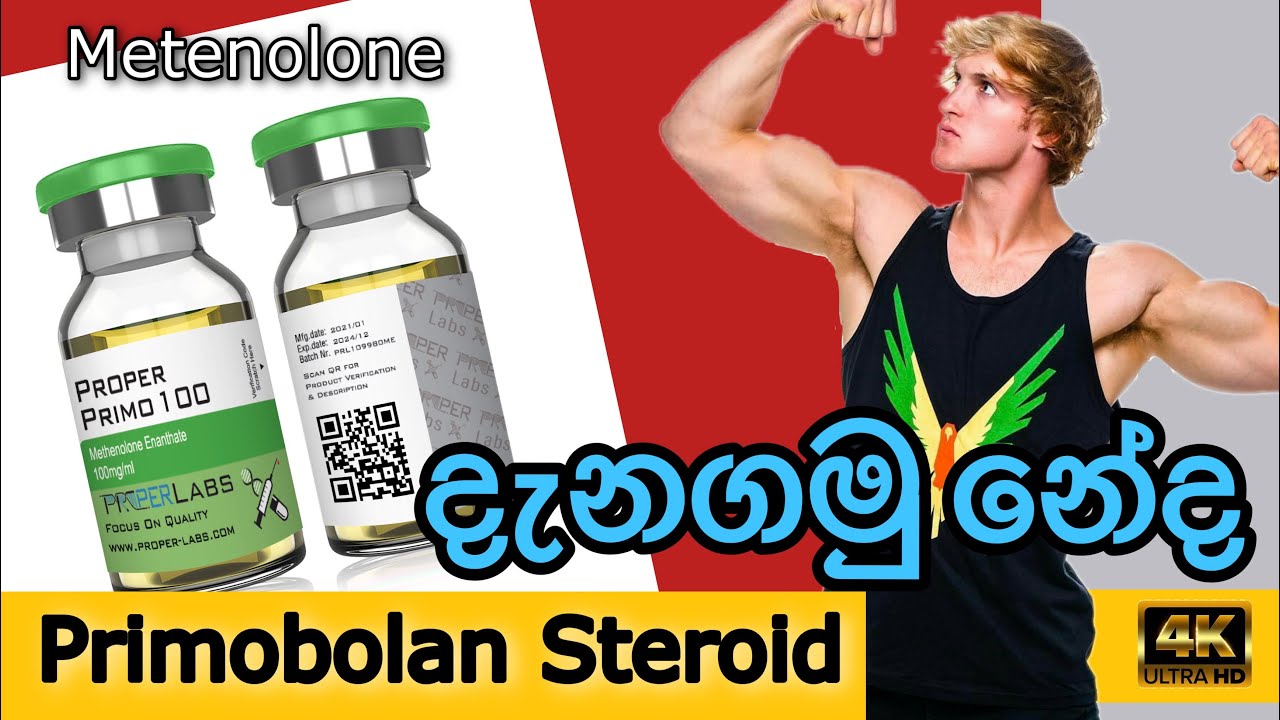 Primobolan use for | primo ගැන මේව දැන ගෙන හිටියද | side effects | benefits| හරයටම (සිංහලෙන්)