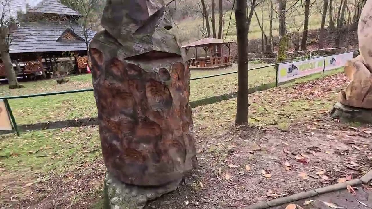 SZCZAWNICA I OKOLICE LISTOPAD 2025