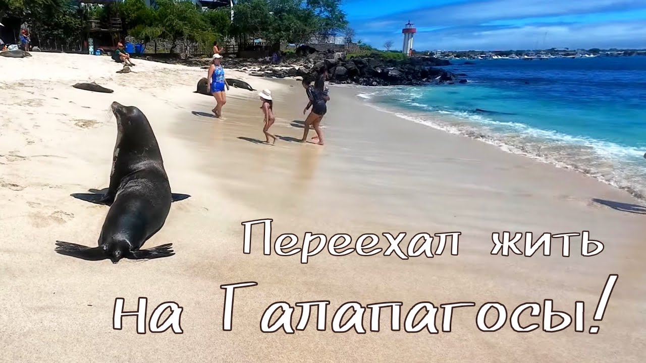 Галапагосы! Столько животных я ещё не видел!