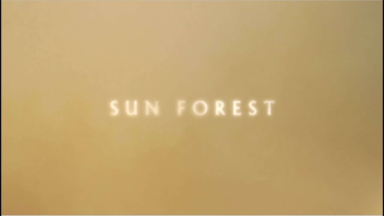 Nick Cave and The Bad Seeds - Sun Forest (Official Lyric Video)