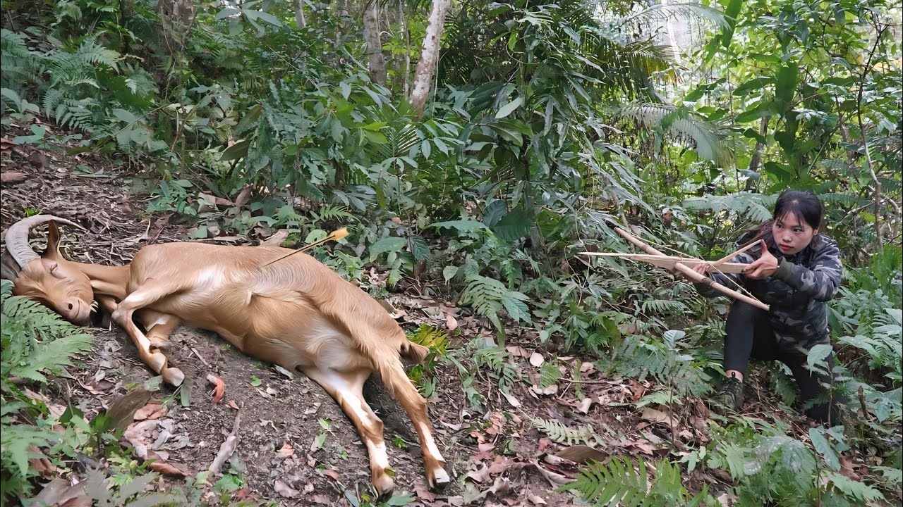 200 Days of Survival in the Wilderness: Setting Traps for Wild Goats, Building a New Shelter
