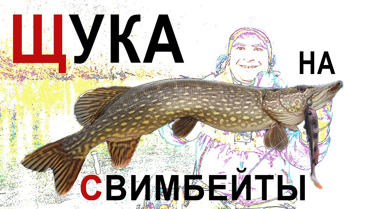 СУПЕР РЫБАЛКА НА ЩУКУ! Свимбейты сделали этот день! / КРУПНАЯ РЕЗИНА / СПИННИНГ
