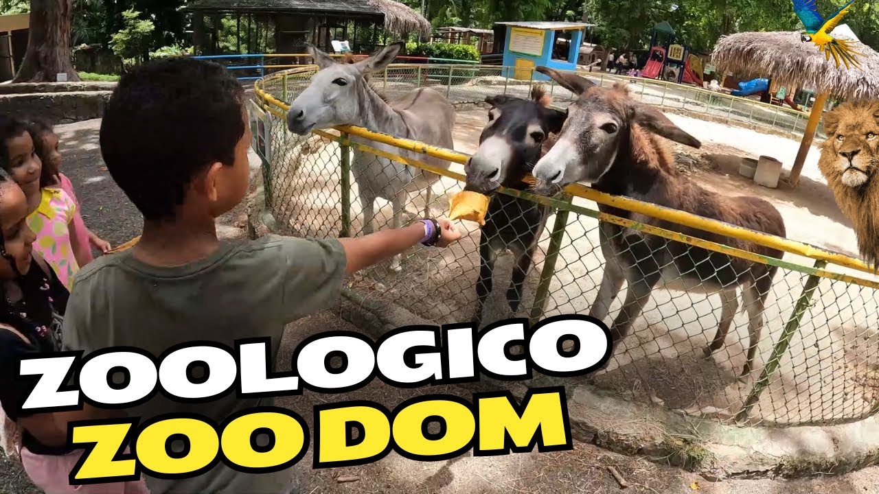 PArque Zoológico de República Dominicana (ZOODOM) VALE la Pena Visitarlo?