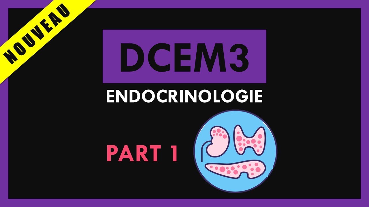 Endocrinologie [Conférence] - DCEM3 - Part 1