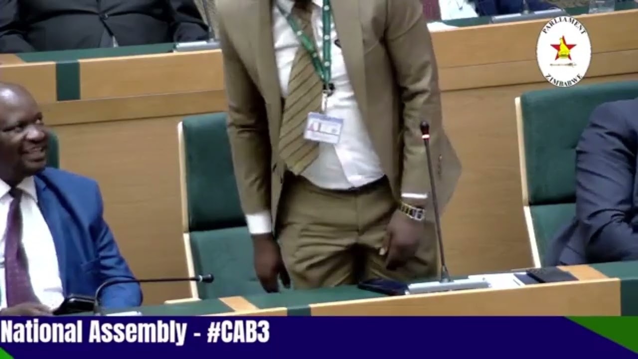 Two More years dzeyi ivo vana ve Zimbabwe vachifa nenhamo. Mapurisa nemasoja vanetawo: Hon Makumire