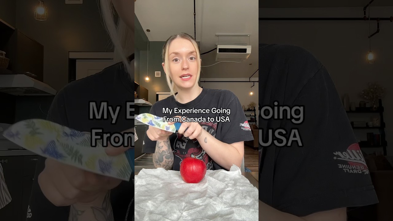 just wanted share my experience at the US border in case any other Canadians need to travel