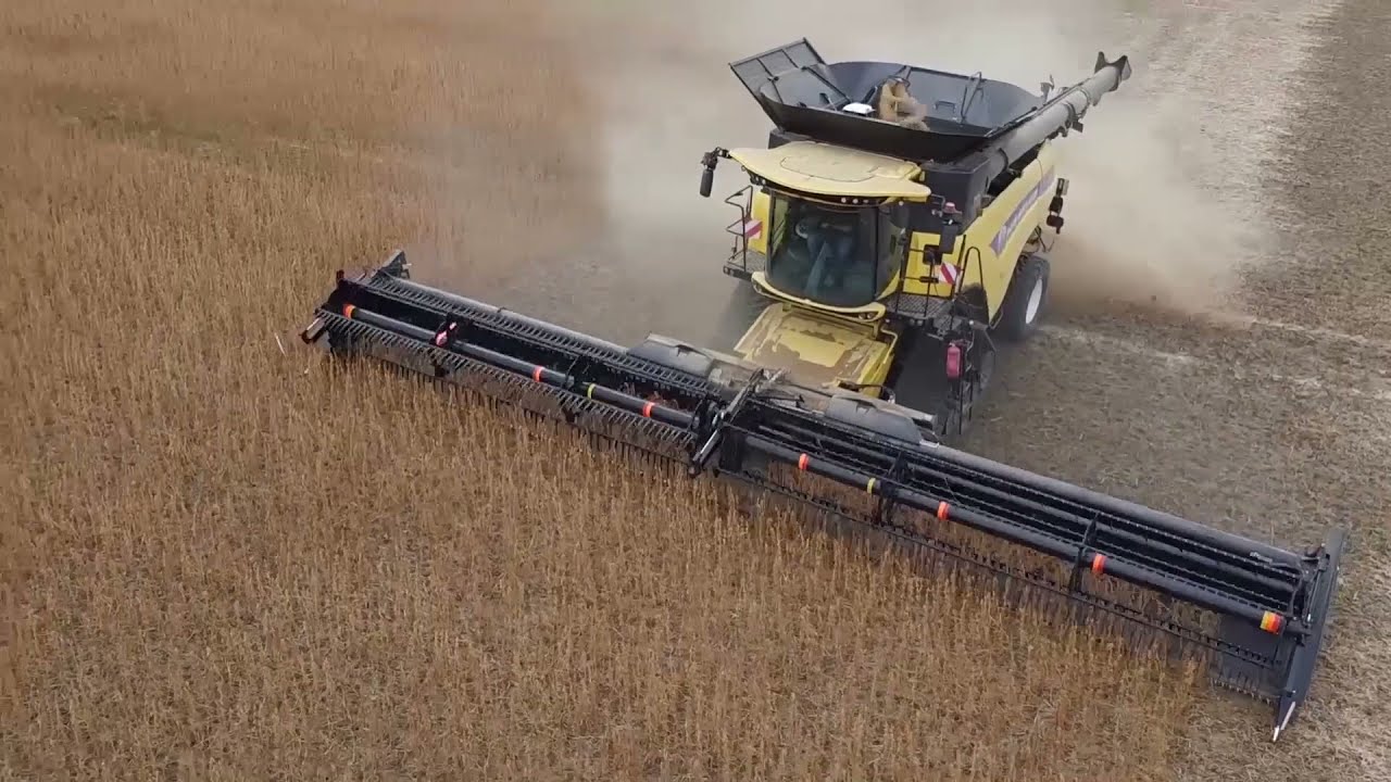 MacDon FD1 FlexDraper in Soybeans