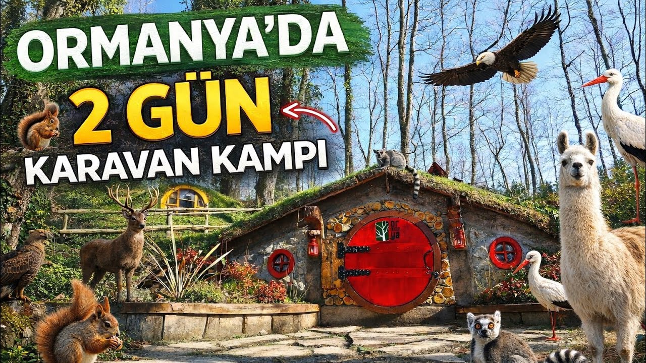 ORMANYA 'nın GEZMEDİK YERİNİ BIRAKMADIK  !!2026!!