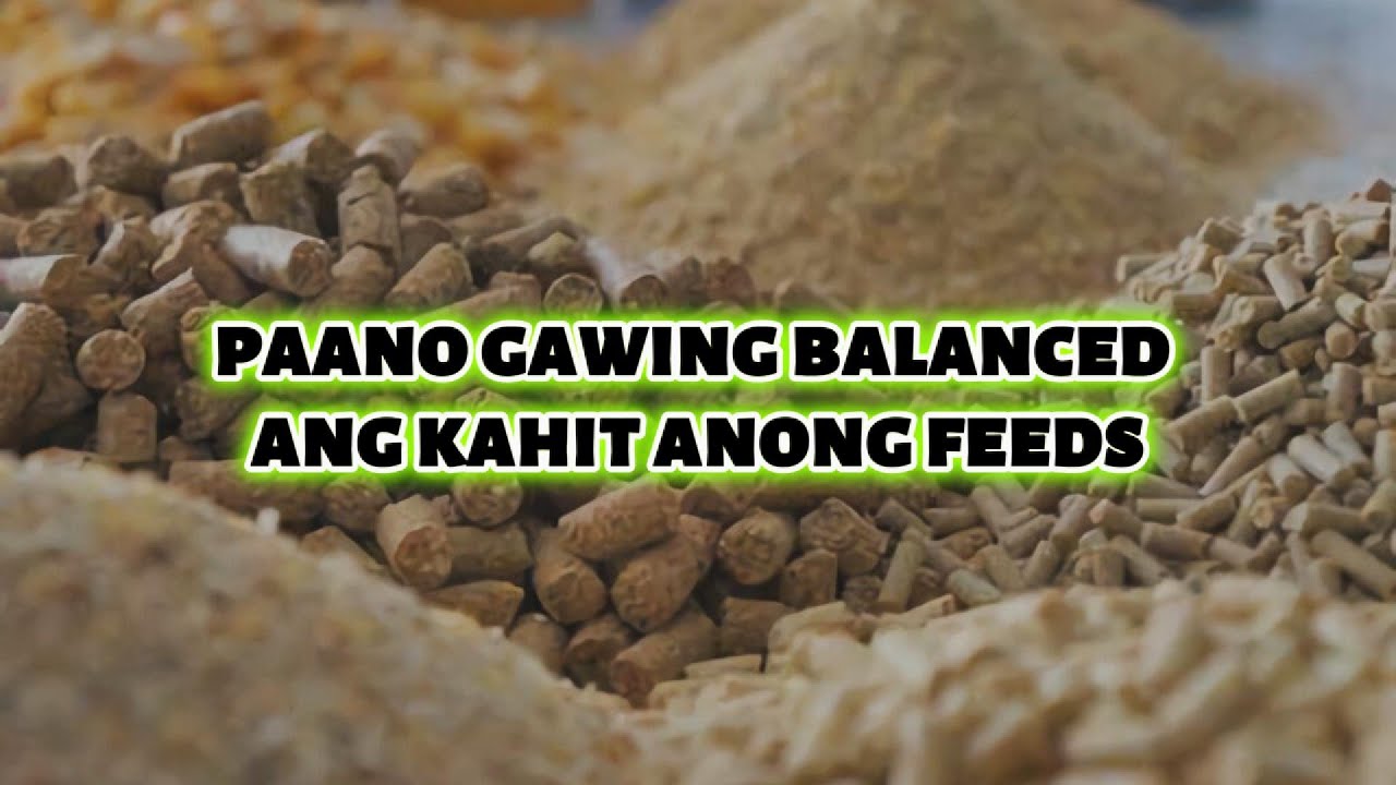 Paano Gawing Balanced ang Kahit Anong Feeds