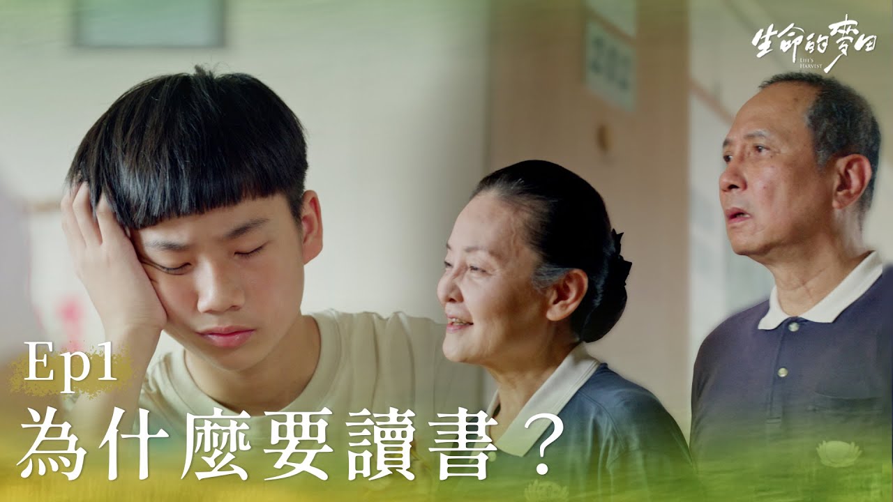《生命的麥田》EP01 Life's Harvest  為什麼要讀書 #艾偉 #王淑娟 #孫鵬