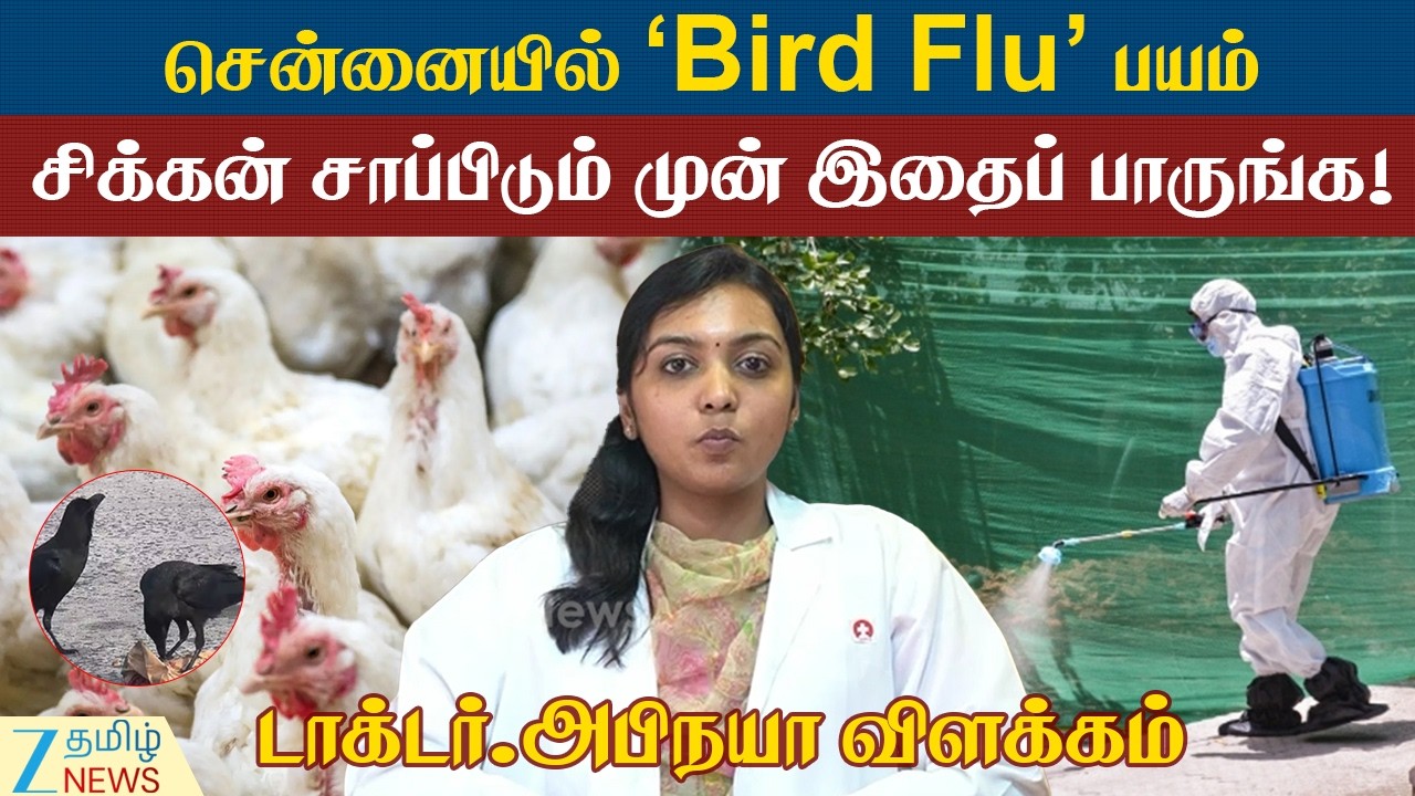 Bird flu | Chennai | சென்னையில் பறவைக் காய்ச்சல் பீதி! இறைச்சி சாப்பிடும்போது கவனிக்க வேண்டியவை