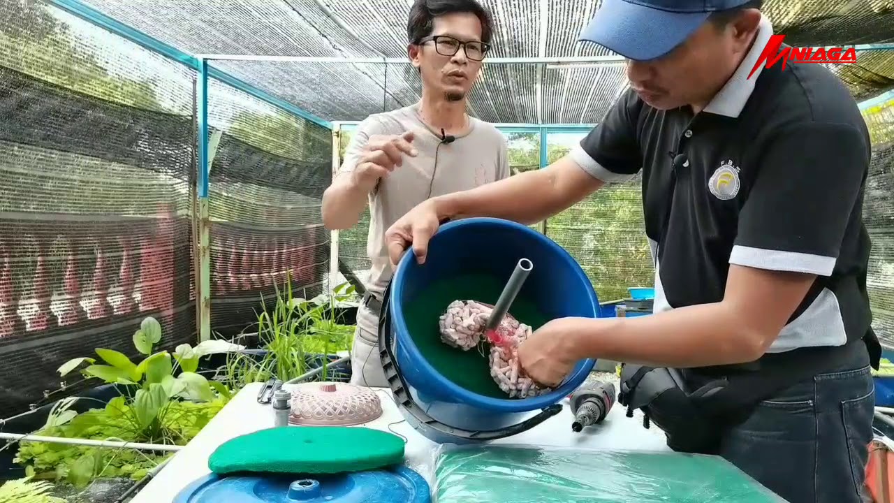 Penternakan Lobster Air Tawar - Cara Buat Filter Sendiri