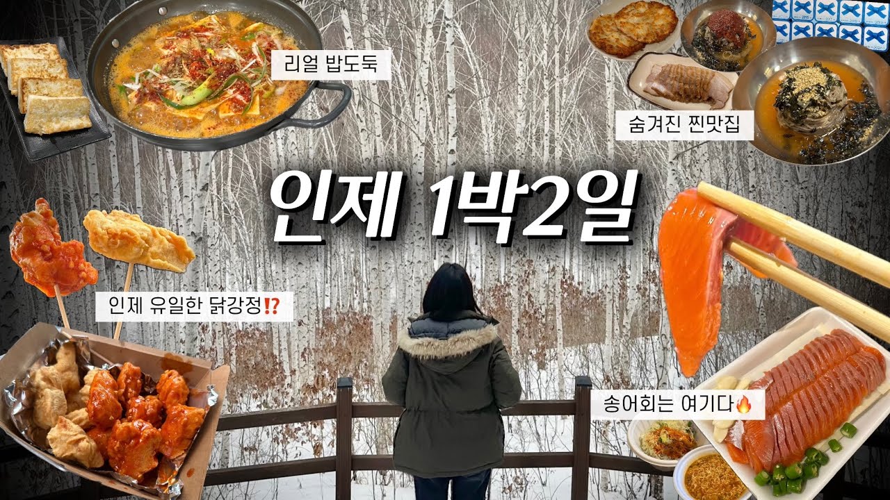 강원도 인제 먹방 여행❄️자작나무숲, 송어회, 인제 유일한 닭강정, 가성비갑숙소