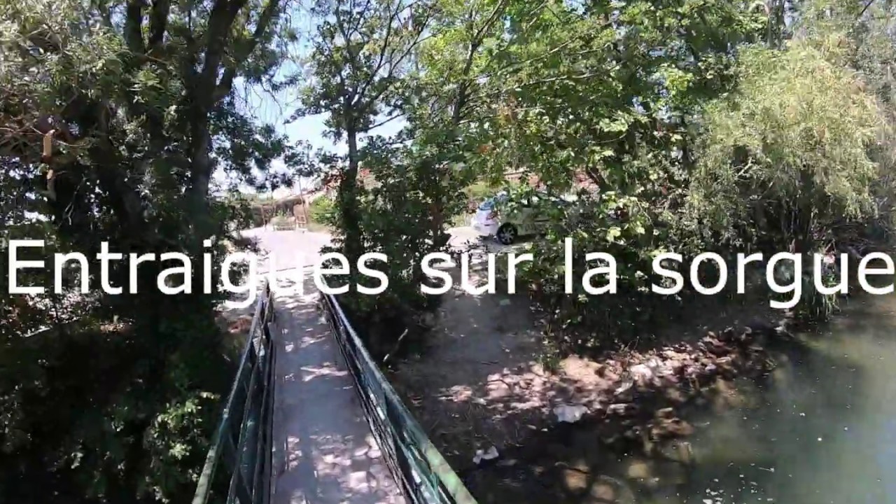 Entraigues sur la sorgue
