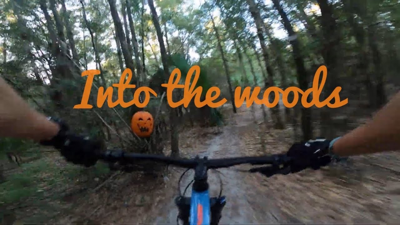 Markham Woods MTB Trails - Revisited