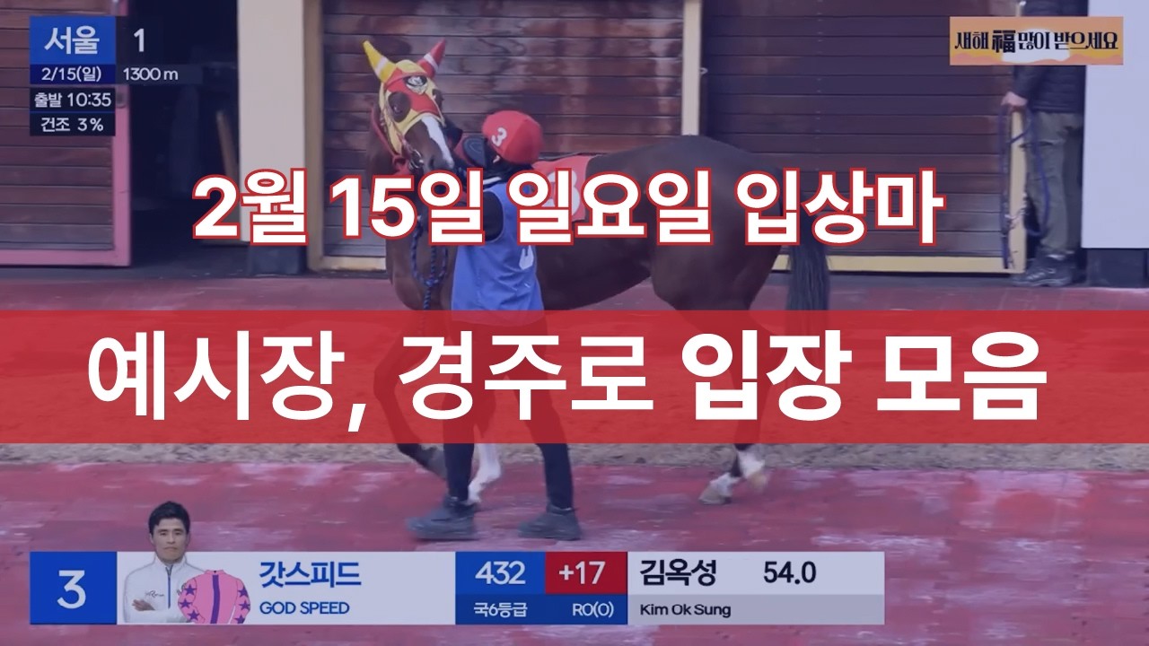 [2월 15일 일요일 입상마] 예시장, 경주로 입장 모음