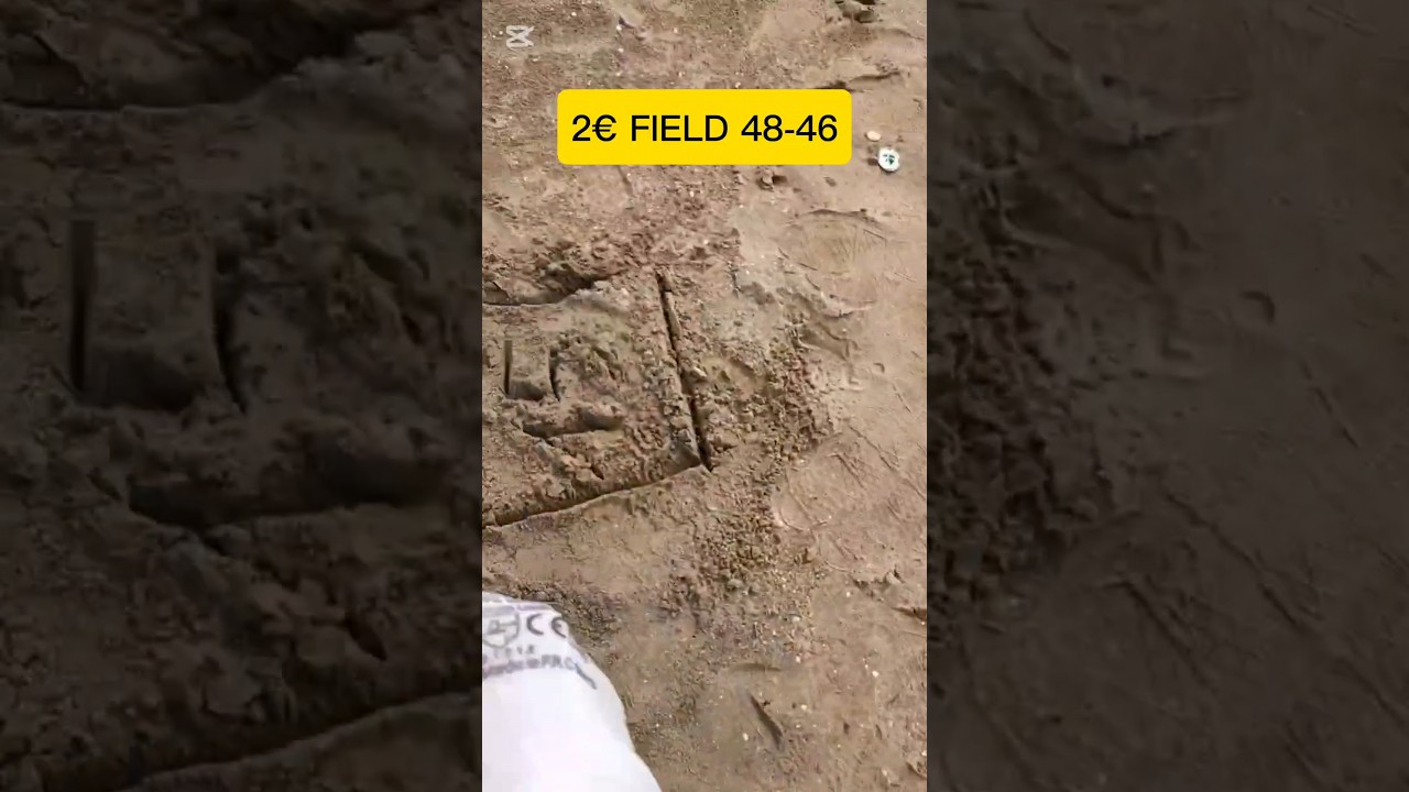 🌟NOKTA FINDX GLI ID (VDI) VISUALIZZATI #findxpro #metaldetecting #metaldetector