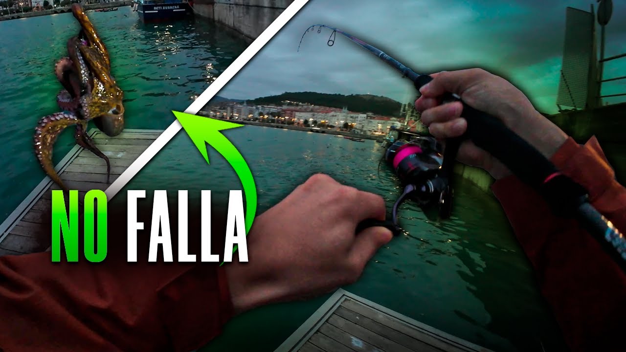 EL MEJOR CONSEJO PARA EGING DESDE PUERTO 📝🦑 | Cantabria y Pais Vasco 🎣