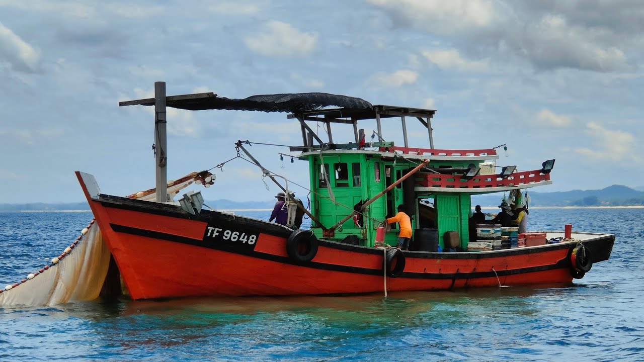 musim ikan bilis di pesisir laut Kuala Terengganu