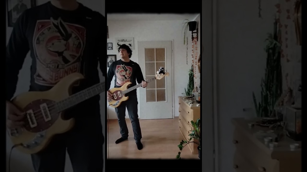 Double Echo-Sylvia bass cover