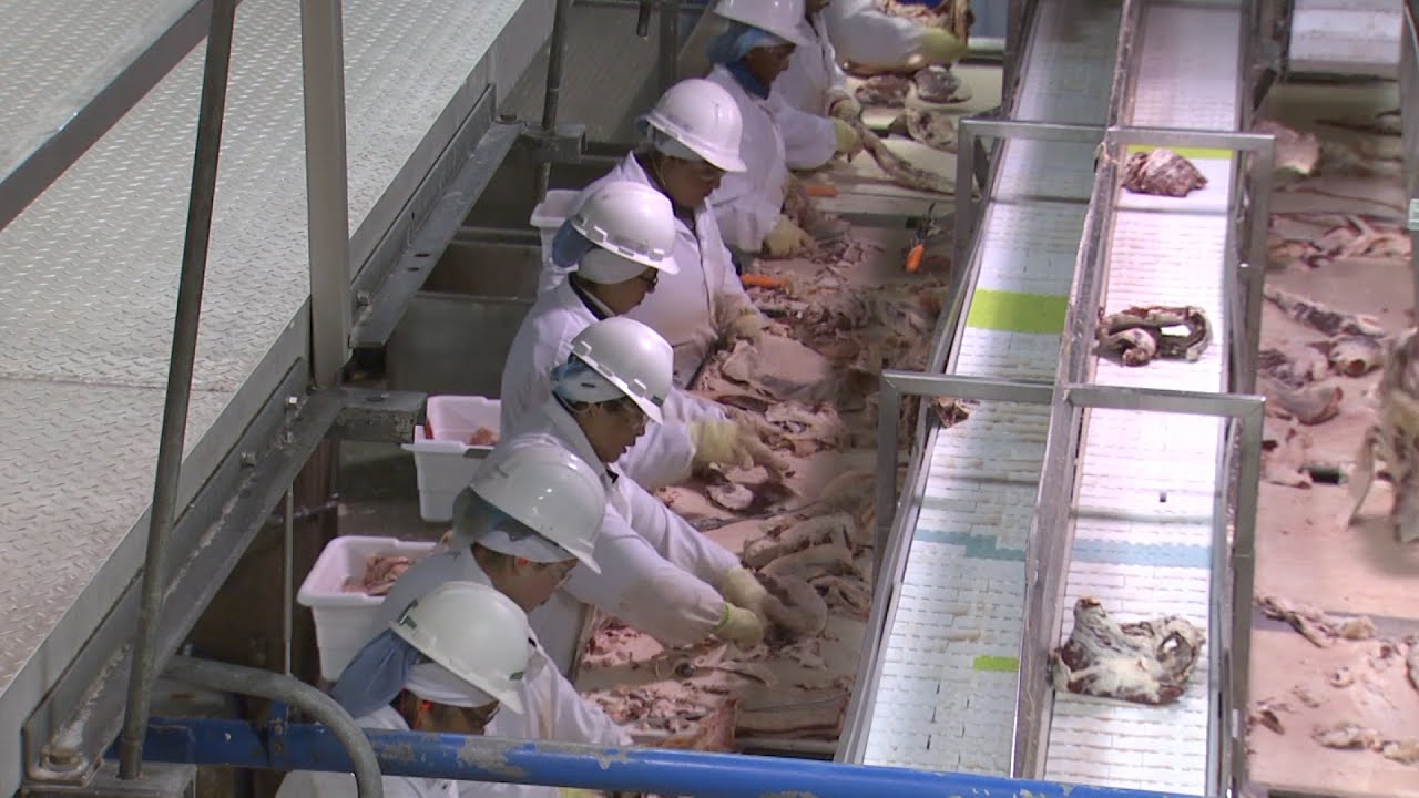 Tyson Foods закрывает завод по переработке говядины в Небраске