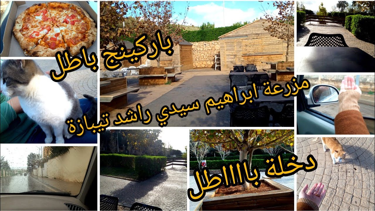 ديتكم معايا في مزرعة ابراهيم سيدي راشد تيبازة مكان ساحر 🥰تحويسة فالشباب الي زارها يقولنا فالكمونتار