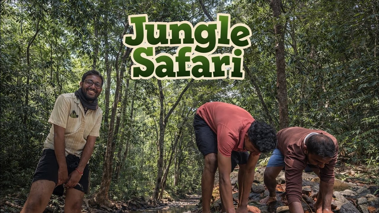 Jungle safari 🍃