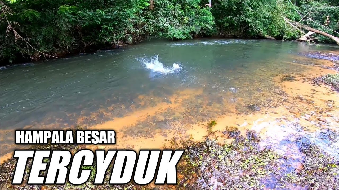 HAMPALA BESAR TERCIDUK DI SUNGAI PEDALAMAN || Reynold sb 29/07/19
