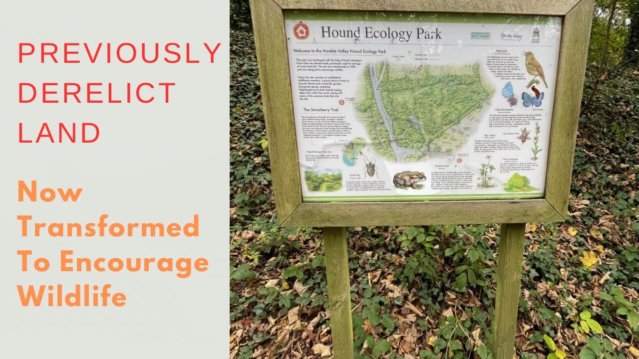 Walk Around Hamble Valley Hound Ecology Park