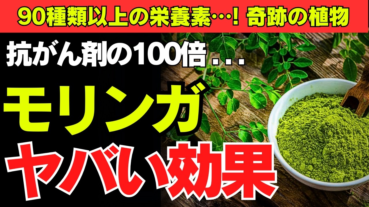 【医師驚愕】99％が知らない奇跡のスーパーフード「モリンガの秘密」を解説
