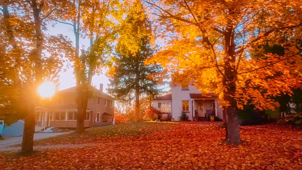 Massachusetts Slow Mo Drive 4K | Fall Foliage Scenic Views + Orchestral Music - Pt 2; Ep1/Right Seat