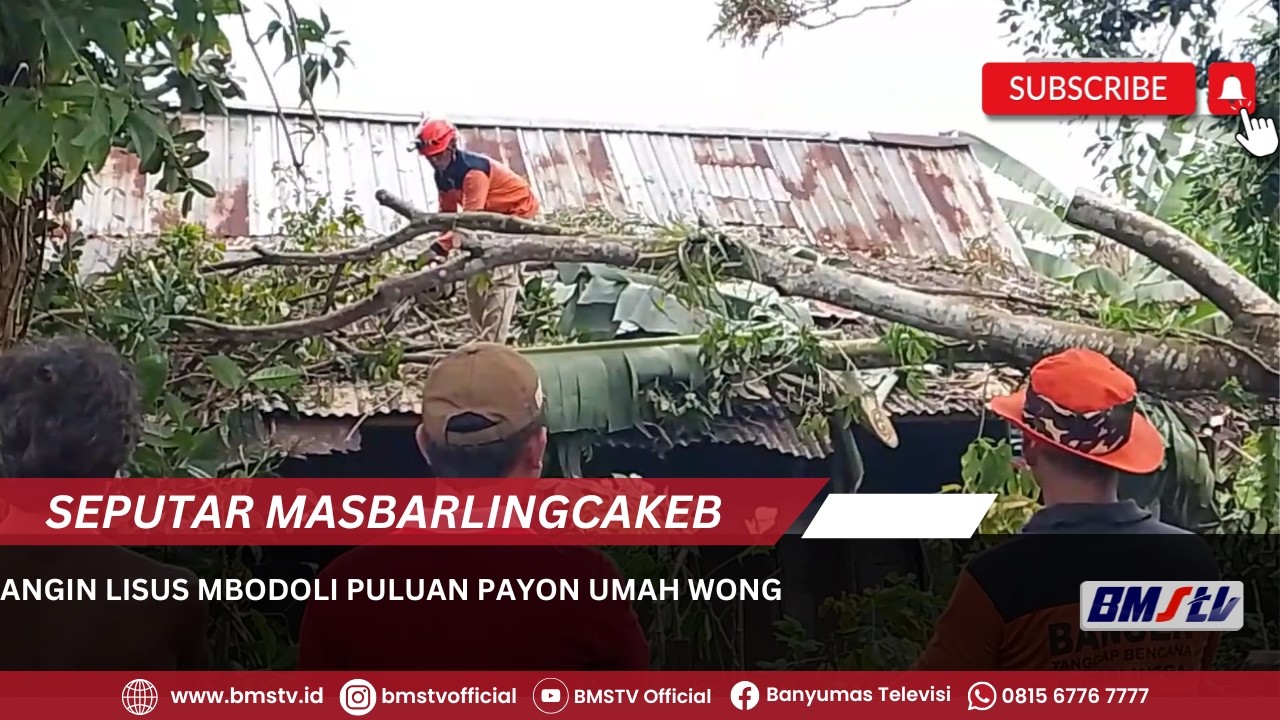 ANGIN LISUS MBODOLI PULUAN PAYON UMAH WONG