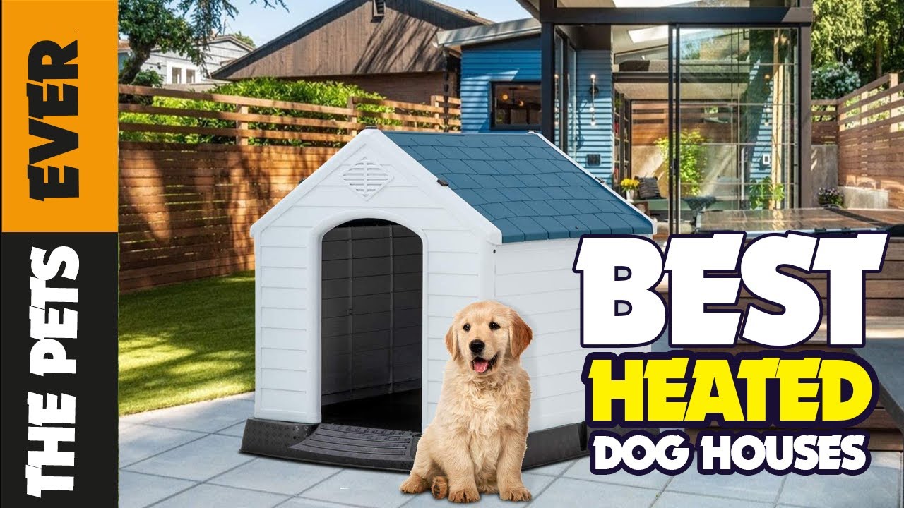 The 5 Best Heated Dog Houses of 2023 - The Pets Ever