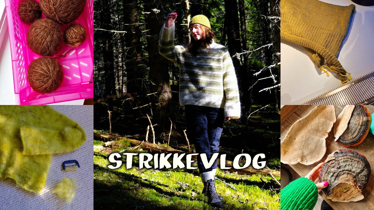 EN PRATSOM VLOG, &Aring;RETS F&Oslash;RSTE SANKETUR & HVORDAN MASKINSTRIKKE | STRIKKEVLOG #7