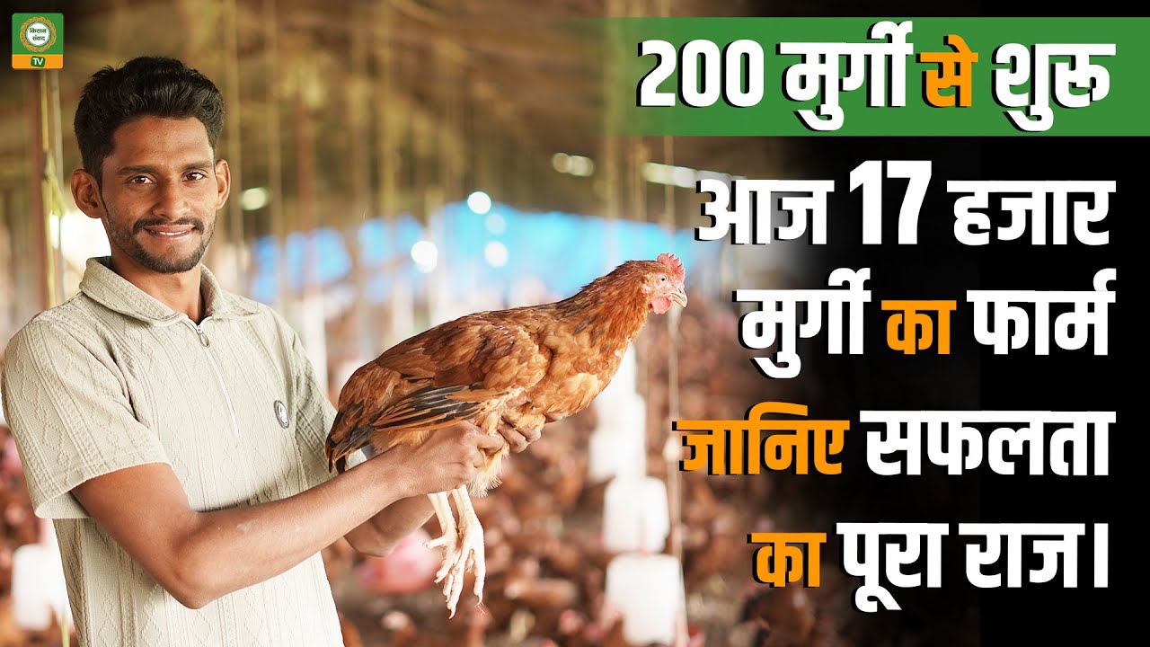 शून्य से शिखर तक | 200 से 17,000 मुर्गी फार्म बनाने की पूरी यात्रा | Kisan Samvad TV